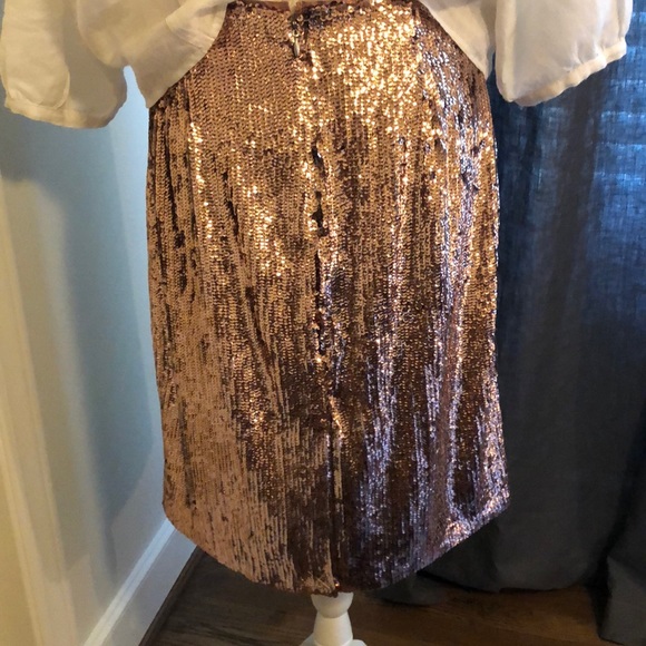 Sequin Skirt - Picture 2 of 2